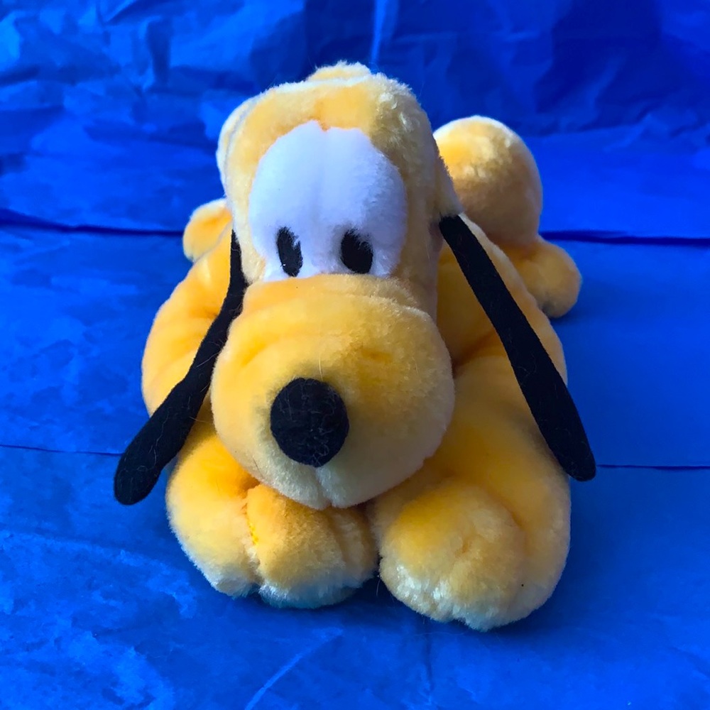 Disney Florida Pluto plush 16”